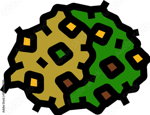 Durian fruit tropical food spiky icon illustration