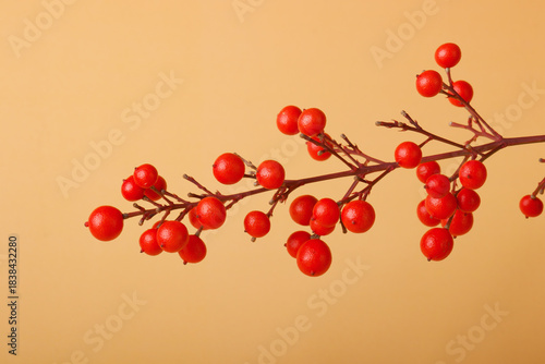 red sacred bamboo berries