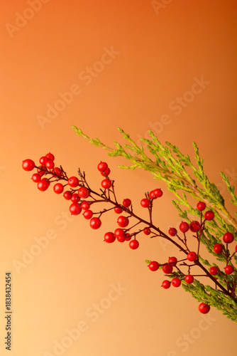 branch of heavenly bamboo