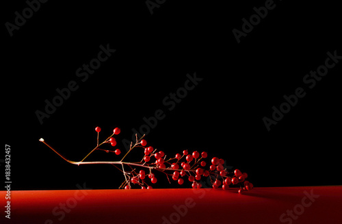 red christmas decorationon black background