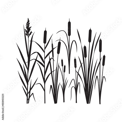 Reeds, Sedge, Cane, Bulrush Silhouettes Collection,Reeds Silhouettes,Vector Reeds Silhouettes,Bulrush Silhouettes,wetland plant vector