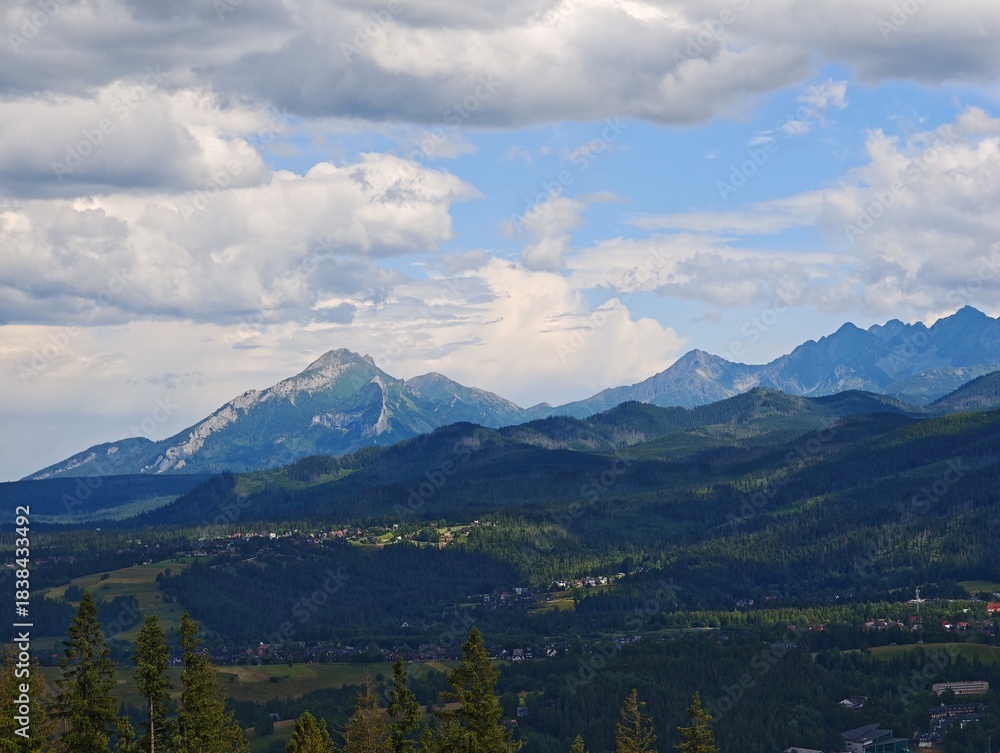 Fototapeta premium Sunny mountain landscape with town surrounded by forest and clear sky