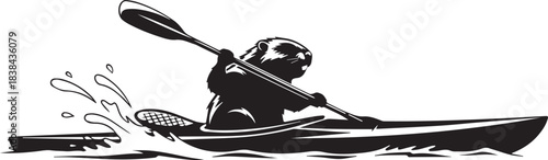 Silhouette of a kayaker paddling through splashing water