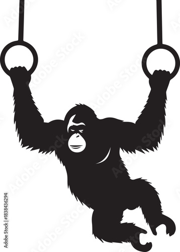 Silhouette of an orangutan swinging on gymnastic rings