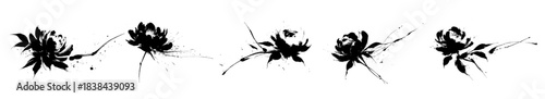 Asian brush painting of peony flower – black ink sumi-e floral illustration