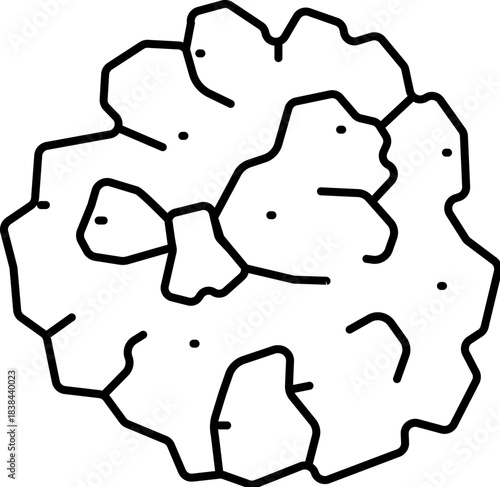 Walnut kernel line art representing healthy eating