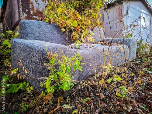 Old sofa overgrown with plants