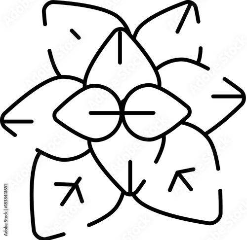 Succulent plant leaves outline minimal icon design