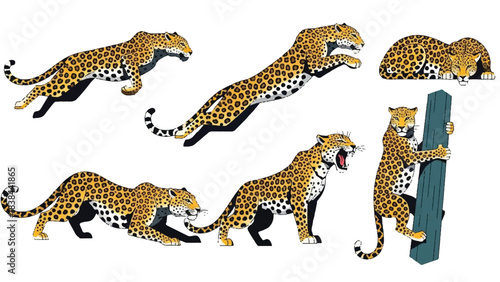 Leopard Poses Vector Illustration Set: Jumping, Running, Roaring, and Climbing