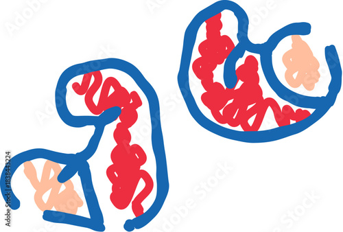 Abstract amoeba like red and blue organic forms