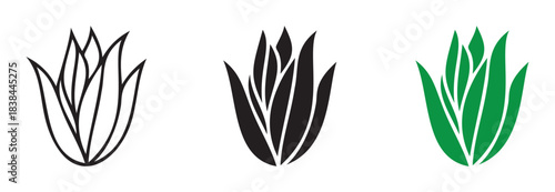 Aloe vera icon , Aloe vera plant with leaves icon set. Medicinal Plant Vector Design.