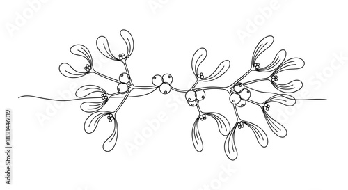 Mistletoe outline illustration in black and white design  