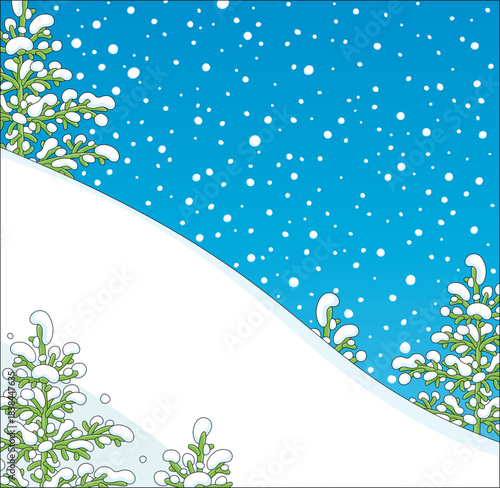 Winter background with a white snowy hill, green fir trees and falling snowflakes in blue sky on a beautiful frosty day in a snow-covered forest, vector cartoon illustration