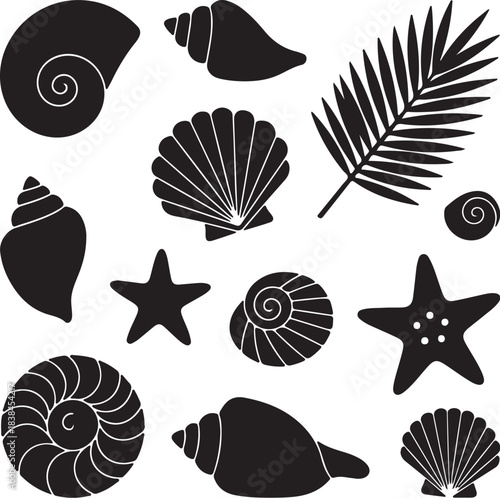 Assorted Seashells and Starfish Silhouettes Keywords: seashell, starfish, marine, ocean, beach, nature, shell, spiral, conch, scallop, tropical, summer, sea, underwater, on transparent background