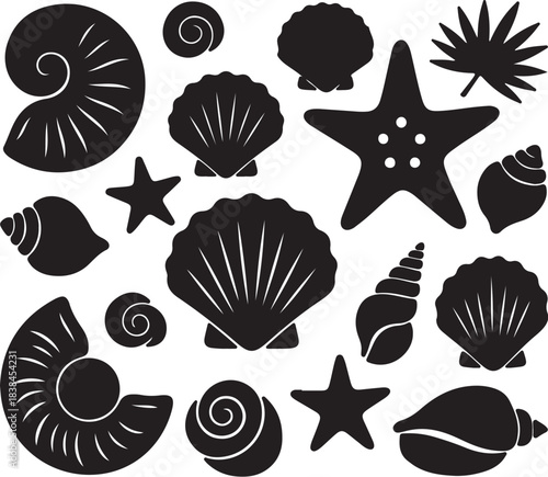Assortment of Seashell and Starfish Silhouettes on White Background ammonite nautilus on transparent background