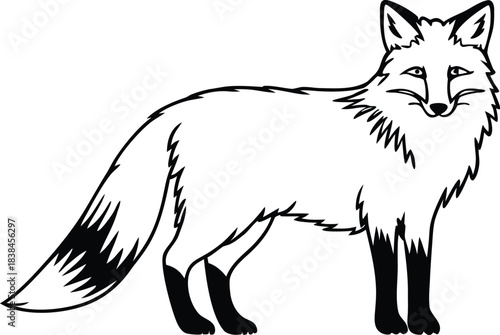 fox wild animal silhouette vector illustration
