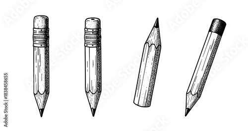 Hand-drawn pencil set: classic art supplies in detailed illustration