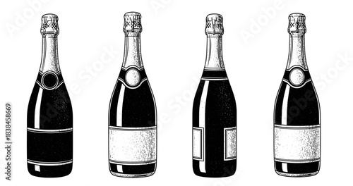 Vintage hand-drawn champagne bottles set on white background