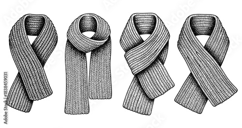 Detailed sketch of four knitted scarves on white background