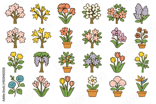 Various types of flowers and plants arranged in rows with different colors and shapes displayed on a plain background