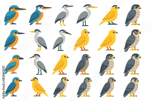 Different types of birds arranged in a grid showing various colors and species in a simple design