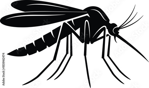 Mosquito vector illustration, black and white insect drawing, side profile, detailed anatomy, wings, legs, proboscis, segmented body, scientific, educational, pest control, disease awareness