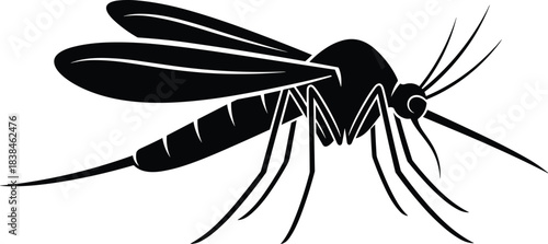 Mosquito silhouette vector, black insect illustration, long legs, segmented body, wings, proboscis, disease carrier, pest control, simple design, public health, Zika, malaria