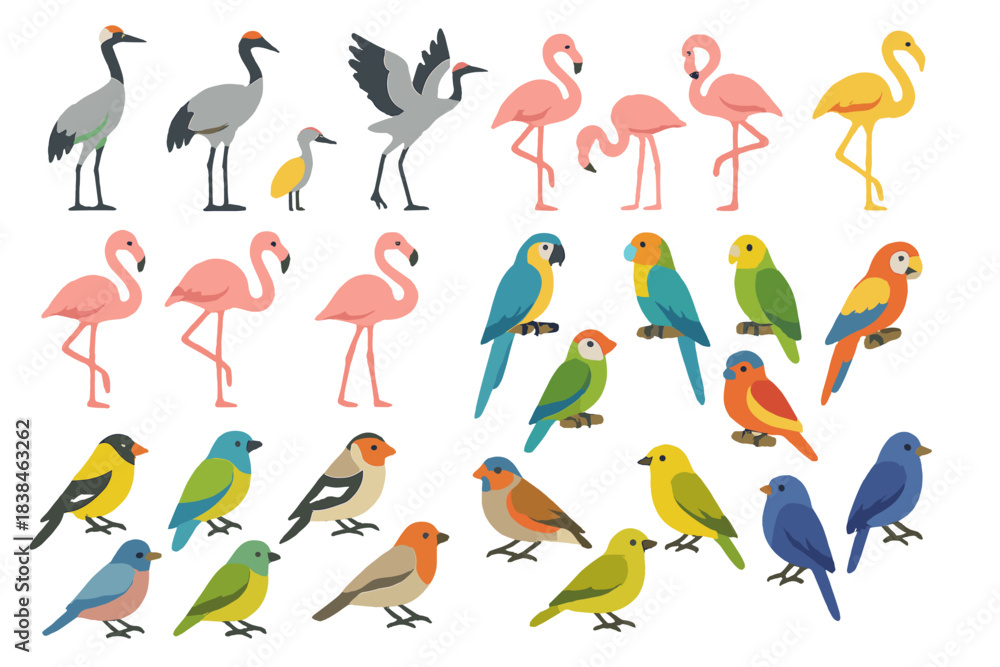 Fototapeta premium Birds in various colors and sizes standing together in a simple design on a white background