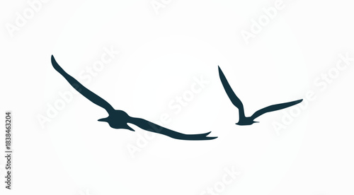 minimal clean birds, eagles flying vector silhouette illustration, graphics
