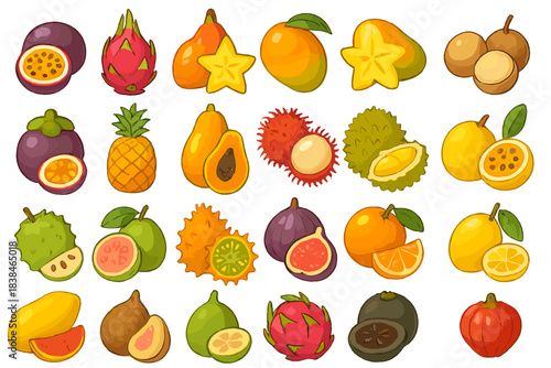 Fruit display with various tropical fruits arranged in a colorful layout on a white background
