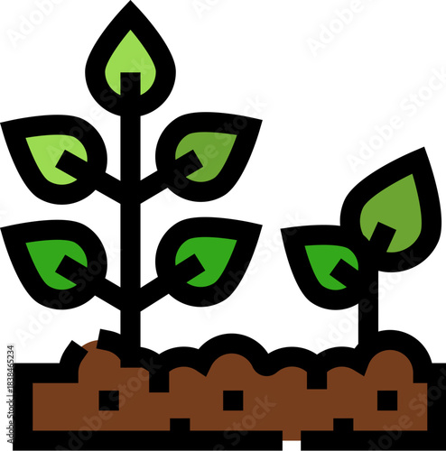 Seedlings growing in soil representing new life and growth