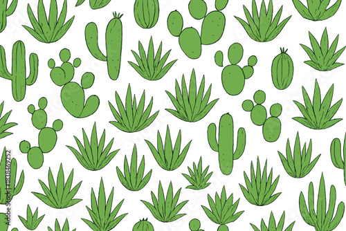 Cacti and succulents arranged in a pattern on a white background showing different types and shapes during daylight