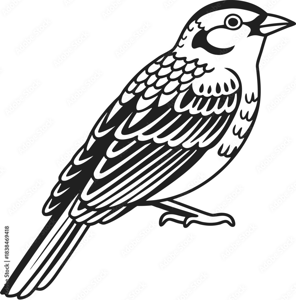 Naklejka premium Sparrow Icon Silhouette in Details Vector Illustration 