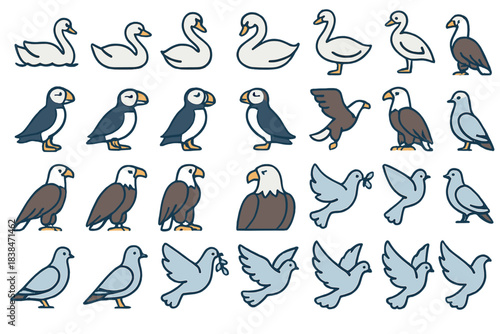 Different types of birds in various poses and styles arranged in a grid layout for easy viewing and identification