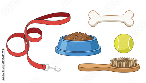 Dog accessories vector illustration including leash food bowl bone ball and brush