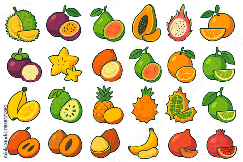 Fruit illustrations showing a variety of tropical and seasonal fruits on a simple background for educational purposes