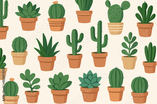 Cacti and succulents in pots arranged on a light background during daylight hours