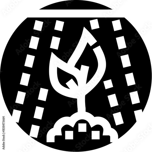 Plant seedling growing receiving water for life and growth