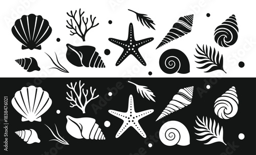 Black and white illustration of seashells starfish and seaweed marine life elements