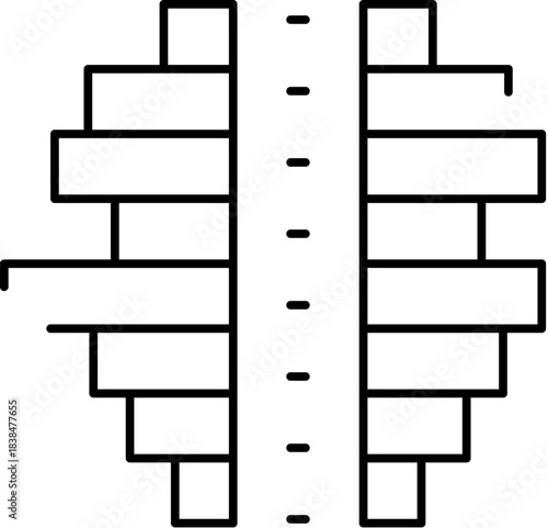 Population pyramid data visualization showing demographic structure