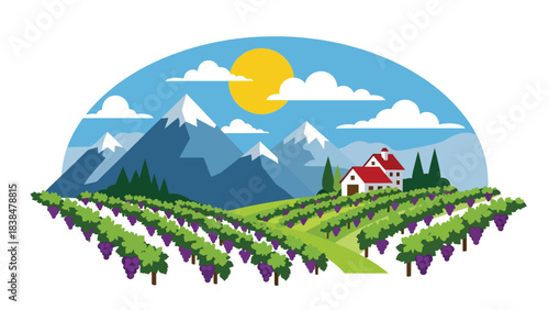 Flat illustration of a vineyard with grapevines, farmhouse, trees, and distant hills. Suitable for travel, food culture, and wine region themes