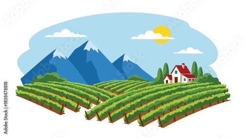 Flat illustration of a vineyard with grapevines, farmhouse, trees, and distant hills. Suitable for travel, food culture, and wine region themes