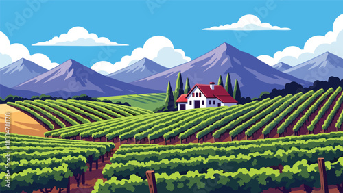 Flat illustration of a vineyard with grapevines, farmhouse, trees, and distant hills. Suitable for travel, food culture, and wine region themes