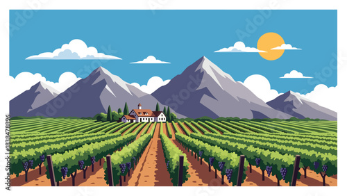 Flat illustration of a vineyard with grapevines, farmhouse, trees, and distant hills. Suitable for travel, food culture, and wine region themes