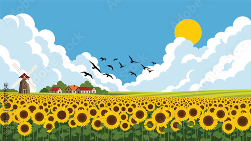 Flat illustration of a sunflower field with windmill and flying birds. Perfect for nature, travel, and countryside themes
