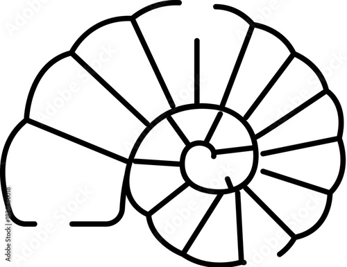 Ammonite fossil shell illustration representing paleontology and geology