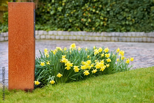 A rusted metal post stands beside a bed of bright yellow daffodils in a spring garden with green grass, a paved path, and lush green foliage in the background.