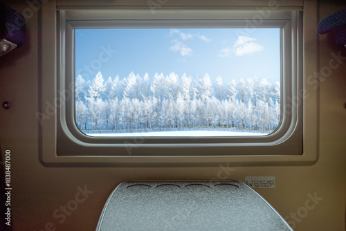 Snowy Forest View from Train Window