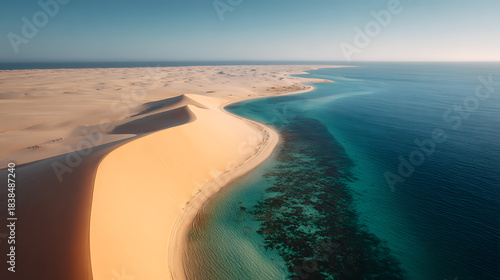 Aerial vista showcasing a desert dune gracefully meeting the sea, creating a stunning contrast of golden sands & azure waters, a perfect scene. Serene, untouched beauty.