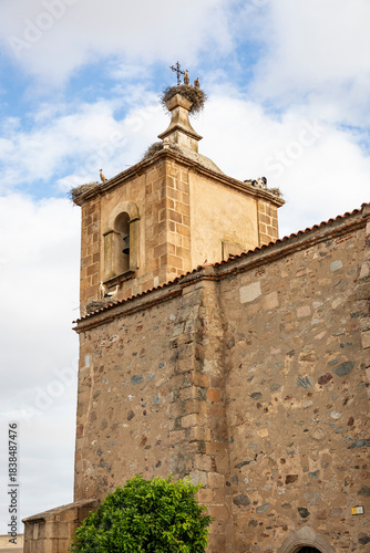 Storks on the bell tower of the Parish church of the Holy Trinity in Trujillanos, province of Badajoz, Extremadura, Spain